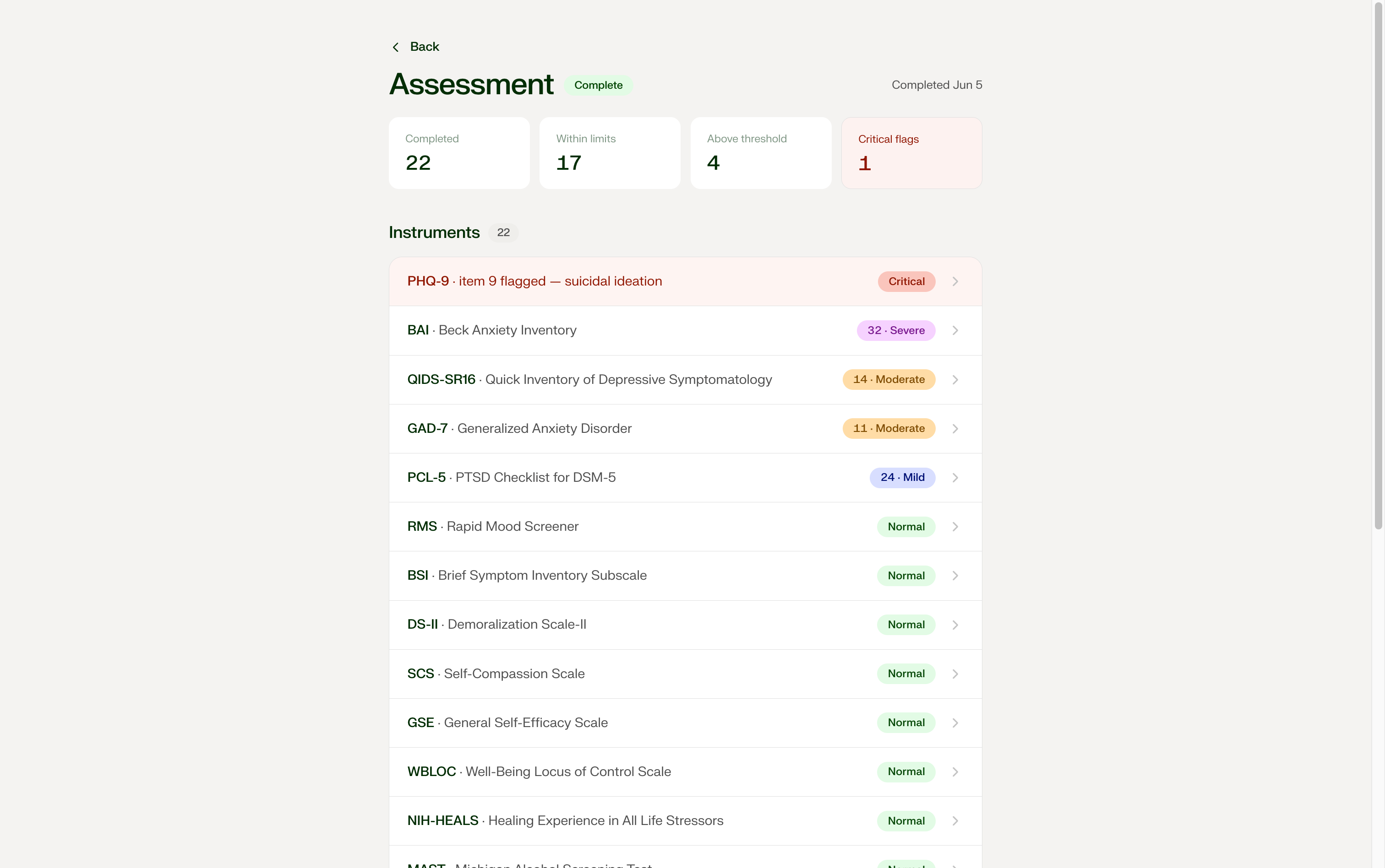 Assessment battery summary — instrument scores and flagged items
